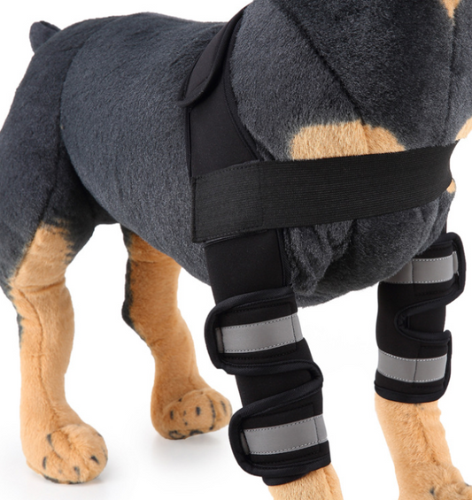 Diloxa Dog Front Leg Support Sleeve: Adjustable Brace for Injury Recovery & Protection