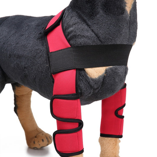 Diloxa Dog Front Leg Support Sleeve: Adjustable Brace for Injury Recovery & Protection